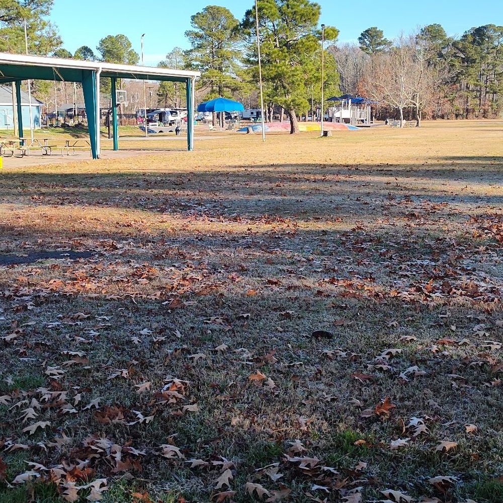 Great space for dogs and kids! Great space for dogs and kids!