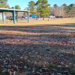 Great space for dogs and kids!