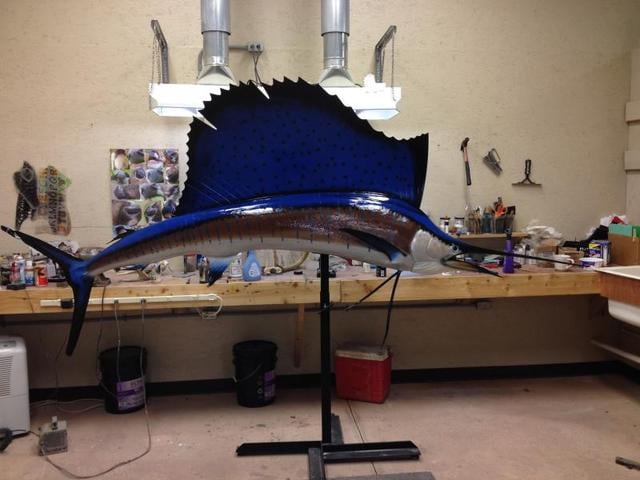 Bloomfield's Taxidermy and Tannery - taxidermy in Bloomville, OH