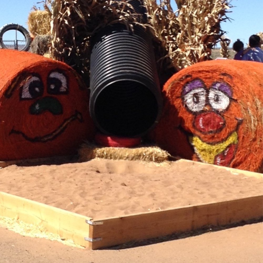 Galloping Goat Pumpkin Patch - Really big slide :) - Pumpkin Patches Near Me - Rio Rancho, New Mexico