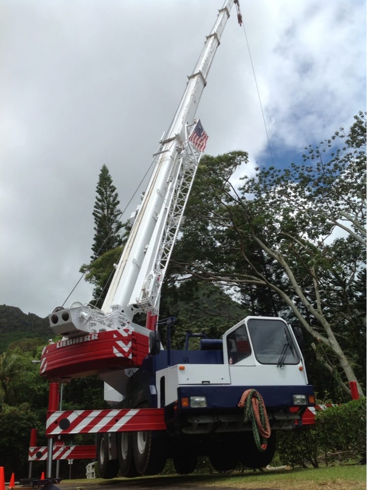 Arborscapes Hawaii - tree service in Waimanalo, HI