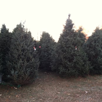 JB Tree Farm - Nurseries & Gardening Near Me - Pierz, Minnesota JB Tree Farm - Nurseries & Gardening Near Me - Pierz, Minnesota