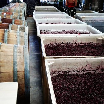 The Austin Winery - Grapes! - Wine Tasting Room Near Me - Austin, Texas The Austin Winery - Grapes! - Wine Tasting Room Near Me - Austin, Texas