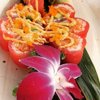 Yamamori - The sweetheart - Japanese Near Me - Pearland, Texas Yamamori - The sweetheart - Japanese Near Me - Pearland, Texas