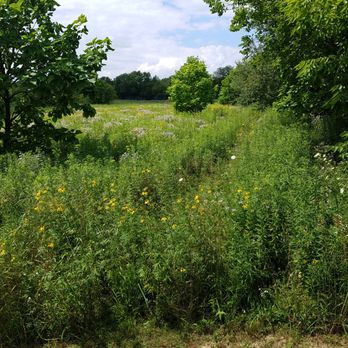 Altherr Nature Park - meadow with wildflowers on the north end of the park - Parks Near Me - Monticello, Indiana Altherr Nature Park - meadow with wildflowers on the north end of the park - Parks Near Me - Monticello, Indiana