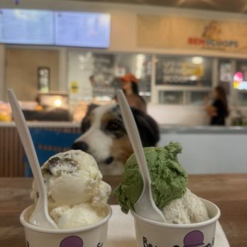 Ben Scoops - My pup  seeing if he has a chance - Ice Cream & Frozen Yogurt Near Me - Torrance, California
