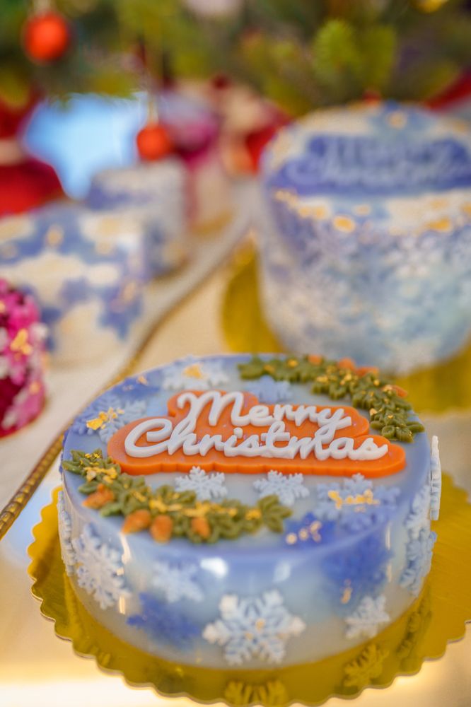 MISHKA DOG BOUTIQUE 1364 Photos & 483 Reviews 2124 Union St, San