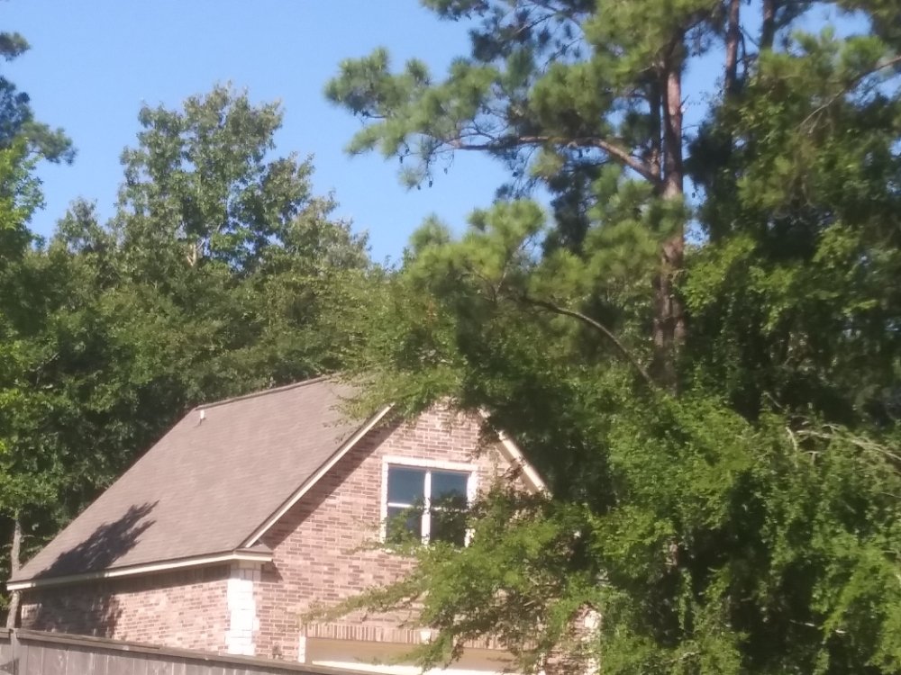 Slide of LA Roof N Patch