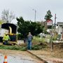 Photo of Misael’s Tree Service