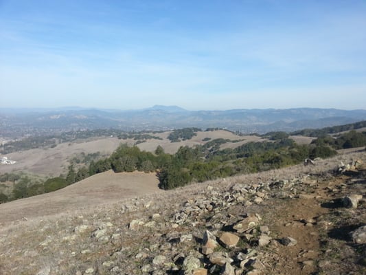 Taylor Mountain Regional Park by null