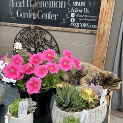 Earl Thieneman Garden Center - 'Houdini' the cat at checkout