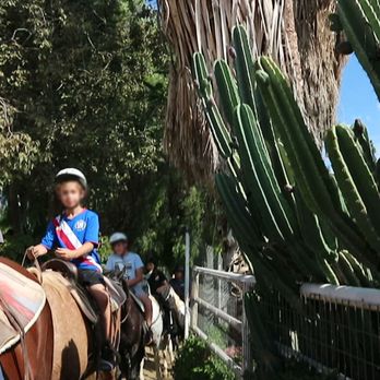 Circle K Riding Stables - Horseback Riding Near Me - Burbank, California
