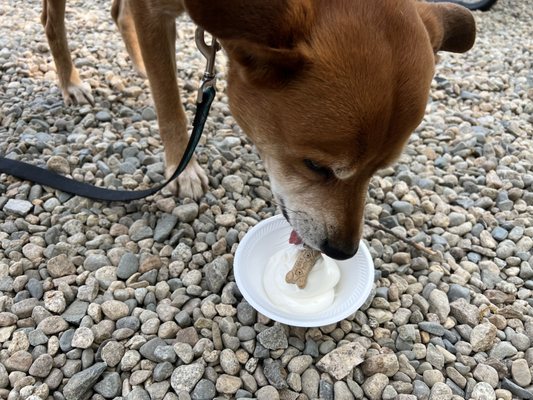 Lago's Ice Cream by null