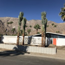 Four date palm trees from Desert Empire Palms! Four date palm trees from Desert Empire Palms!