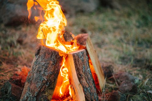 Double D's Tree Service - tree service in Ogden, UT