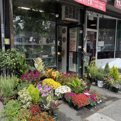Jackson Heights Garden Center - Outside