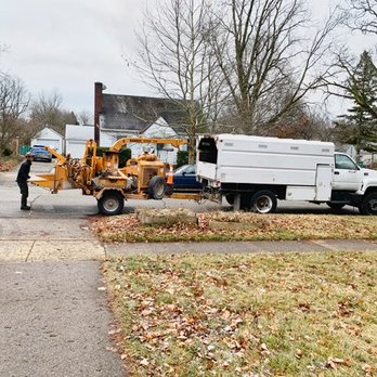 Foundations Tree Experts - Tree Services Near Me Foundations Tree Experts - Tree Services Near Me