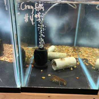 Quality Aquatics Pet Shop - Local Fish Stores Near Me - Circle Pines, Minnesota Quality Aquatics Pet Shop - Local Fish Stores Near Me - Circle Pines, Minnesota