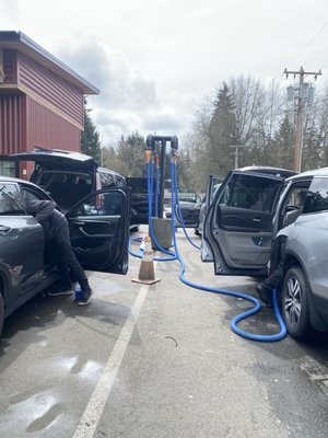 Elephant Car Wash by null
