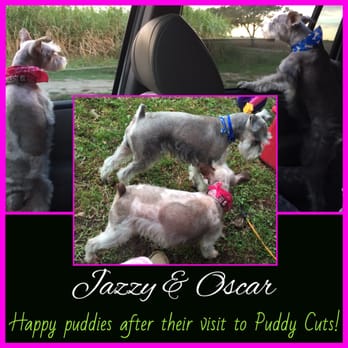Puddy Cuts - Pet Groomers Near Me - Houston, Texas Puddy Cuts - Pet Groomers Near Me - Houston, Texas