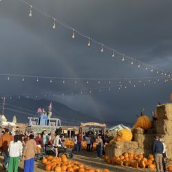 Kuwahara's Pumpkin Patch & Thriller Park