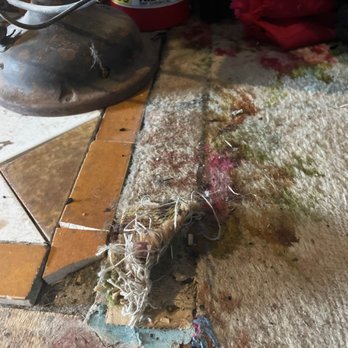 Historic Windsor - Unsafe floor damage and mold - Bed & Breakfast Near Me - Silver Plume, Colorado Historic Windsor - Unsafe floor damage and mold - Bed & Breakfast Near Me - Silver Plume, Colorado