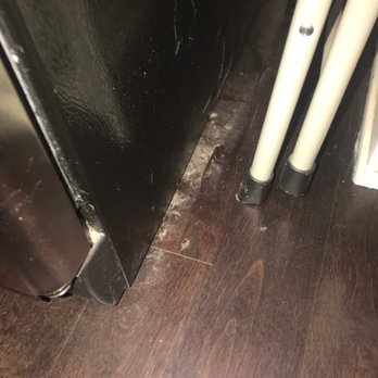 https://review.new/maid-o-matic-eco-friendly - Floors not cleaned - Home Cleaning Near Me - Albuquerque, New Mexico