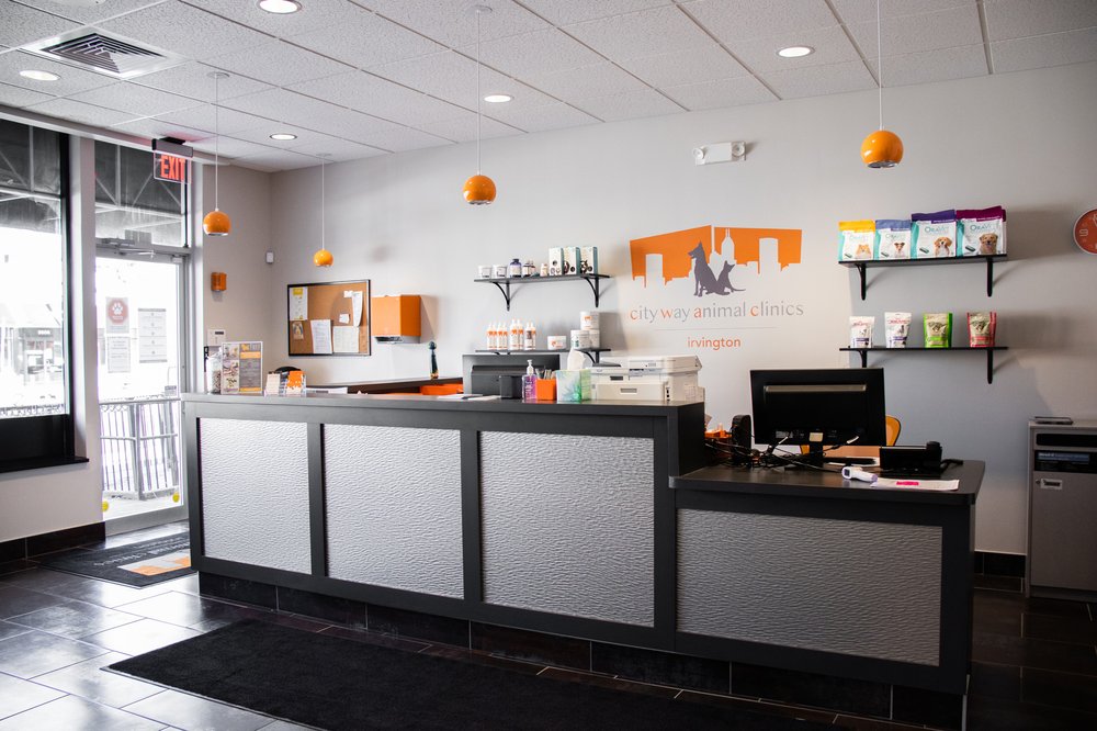 CITY WAY ANIMAL CLINICS IRVINGTON Updated May 2024 15 Photos