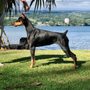 Photo of Hilo Veterinary Clinic