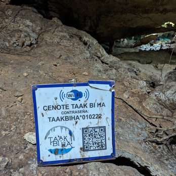 Taak Bi Ha - Cenote Taak Bi Ha Wi-Fi QR code. I tried this and it didn't work immediately. I didn't spend time troubleshooting. - Parks Near Me - Zona Hotelera Tulum, ROO