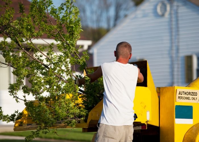 Rhode Island Tree Removal - tree service in Providence, RI