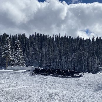 Thunder Mountain Lodge - Snowmobiles wait in for us to get started! - Vacation Rentals Near Me - Cedaredge, Colorado Thunder Mountain Lodge - Snowmobiles wait in for us to get started! - Vacation Rentals Near Me - Cedaredge, Colorado