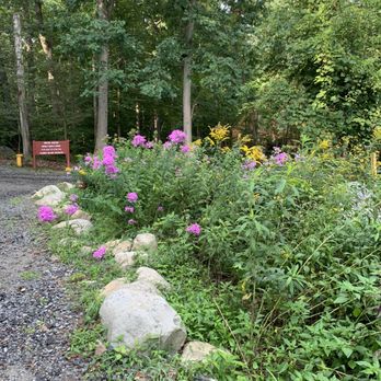 Pyramid Mountain Natural Historic Area - Hiking Near Me - Boonton, New Jersey