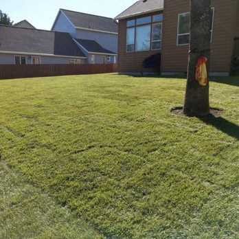 Diamond Landscape Group - New lawn - Landscape Architects or Designers Near Me Diamond Landscape Group - New lawn - Landscape Architects or Designers Near Me