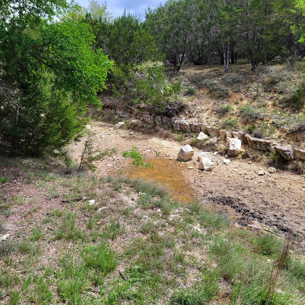 Cross G Ranch Trail Rides - Creek had dried up - Horseback Riding Near Me - Pipe Creek, Texas