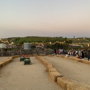 Peltzer Pumpkin Farm - Pumpkin Patches Near Me - Temecula, California