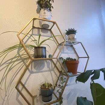 The Organic Salon - Salon - Hair Salons Near Me - Denver, Colorado The Organic Salon - Salon - Hair Salons Near Me - Denver, Colorado