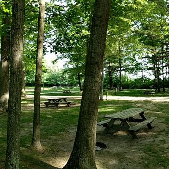 Gammy Woods Campground - a picnic table and benches - Ice Cream & Frozen Yogurt Near Me - Weidman, Michigan Gammy Woods Campground - a picnic table and benches - Ice Cream & Frozen Yogurt Near Me - Weidman, Michigan