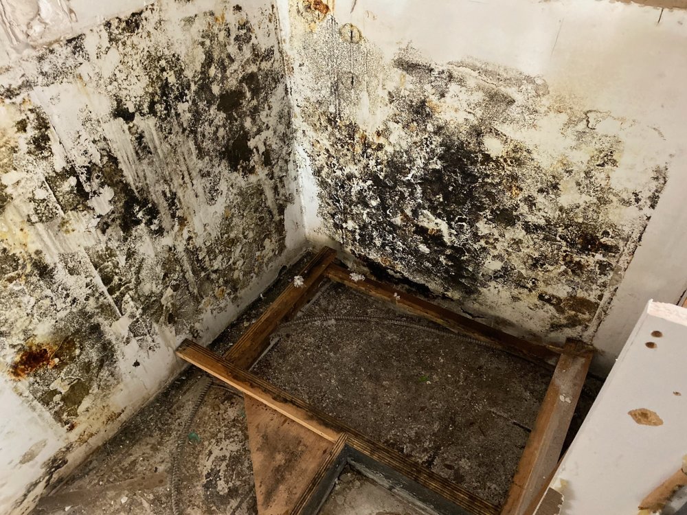 Ars Environmental - mold inspector in Plantation, FL