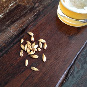 少爺麥啤 - Breweries Near Me - Hong Kong, HK