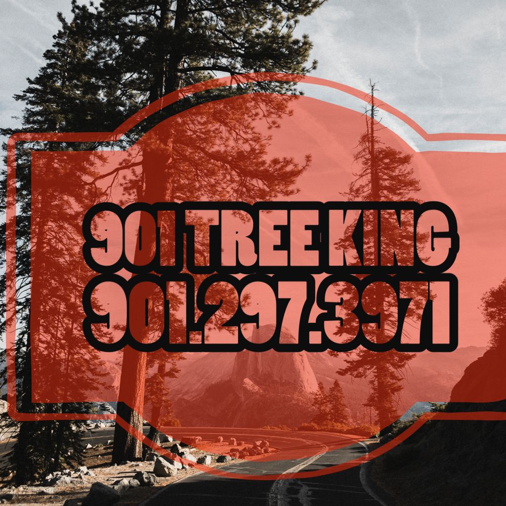 901 Tree King - tree service in Memphis, TN