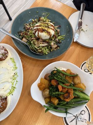 Candor by Giuseppe by null