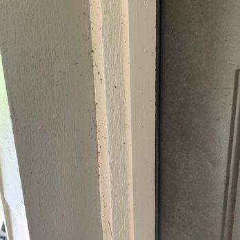 Timberlakes at Atascocita - Bugs at front door - Apartments Near Me - Humble, Texas