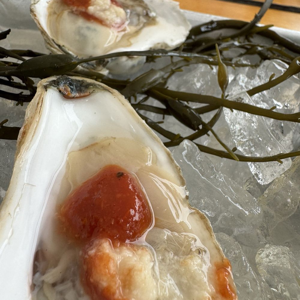 Fresh oysters. Nice and briny