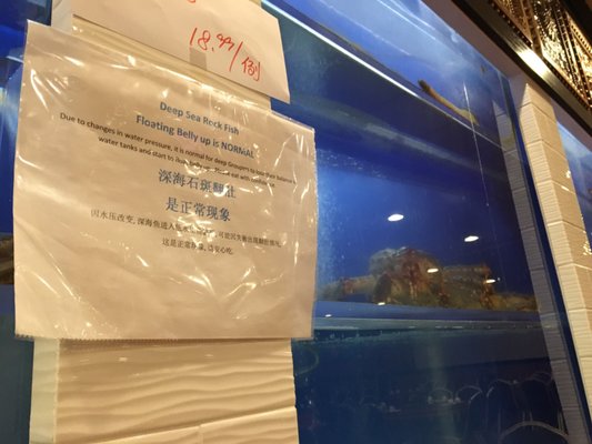 Menu photo 4 Joyale Seafood Restaurant Seattle, WA
