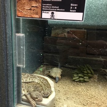 The Reptile Zone - Look for poisonous animals as well. (Not for sale) - Pet Stores Near Me - Bend, Oregon The Reptile Zone - Look for poisonous animals as well. (Not for sale) - Pet Stores Near Me - Bend, Oregon