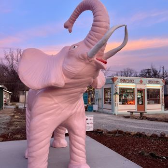 The Frozen Elephant - Food Trucks Near Me - Miami, Oklahoma The Frozen Elephant - Food Trucks Near Me - Miami, Oklahoma
