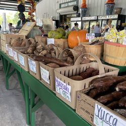 Nelson Family Farms