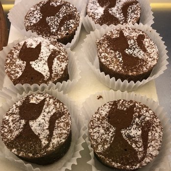 Seattle Meowtropolitan - Themed Cafes Near Me - Seattle, Washington Seattle Meowtropolitan - Themed Cafes Near Me - Seattle, Washington