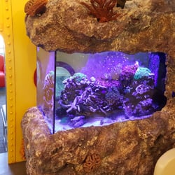 Anderson Pediatric Dental & Orthodontics - The waiting room aquarium.